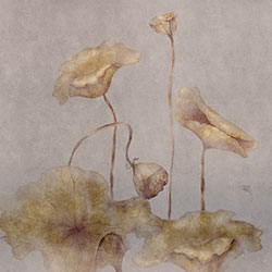 荷韵-原创定制壁画 刘睿  米兰体育网页版-米兰体育（中国）官方在线登录 - 附件