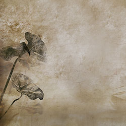 龟背竹-原创定制壁画 刘睿  米兰体育网页版-米兰体育（中国）官方在线登录 - 附件