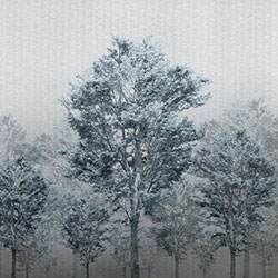 从林-原创定制壁画 张杉杉  米兰体育网页版-米兰体育（中国）官方在线登录 - 附件